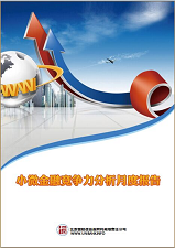 小微金融竞争力分析月度报告