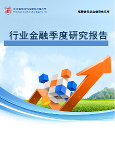 全国信息化产业金融季度研究报告