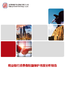 商业银行消费者权益保护月度分析报告